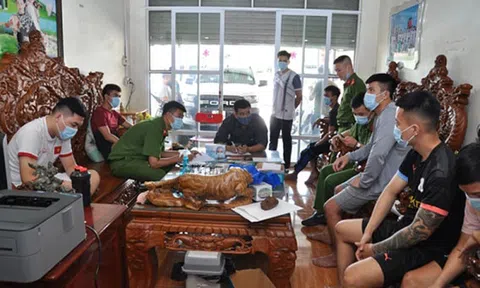 Triệt phá đường dây cá độ bóng đá nghìn tỉ ở Hải Dương