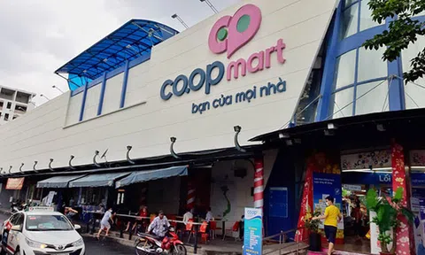 Luật gia Nguyễn Văn Hậu lý  giải  sai phạm xảy ra tại Saigon Co.op có dấu hiệu tội thiếu trách nhiệm gây hậu quả nghiêm trọng .