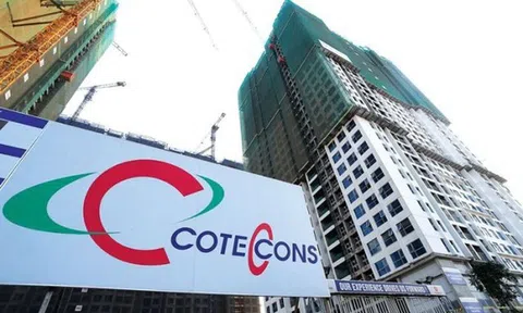 Coteccons 4 năm liên tiếp bị xử phạt và truy thu thuế