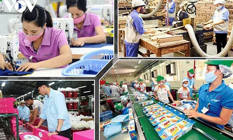Đại dịch Covid-19 “ăn mòn” tài chính của cả người dân và doanh nghiệp