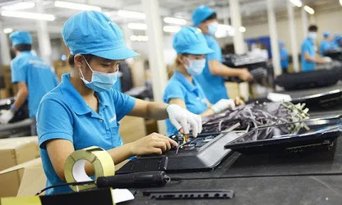Hiệp định EVFTA: Nhiều điểm nghẽn cần tháo gỡ
