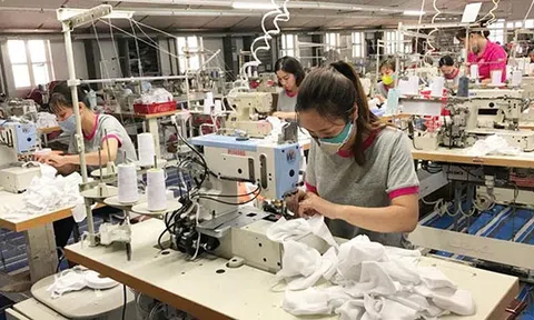 Công ty may gần 30 năm tuổi ở Nam Định có thể mất hơn 200 tỷ đồng vì đối tác Mỹ phá sản