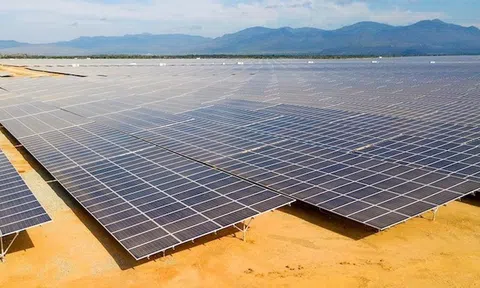 Nhiều sai phạm trong cấp phép dự án điện mặt trời ở Ninh Thuận