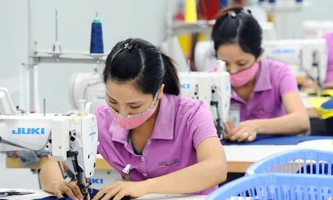 EVFTA có hiệu lực: Cú huých quan trọng cho xuất khẩu
