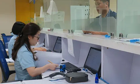 Hướng dẫn khai báo hàng hóa xuất nhập khẩu thực hiện Hiệp định CPTPP