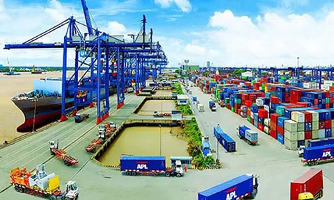 Trong 7 tháng đầu năm 2020, Việt Nam xuất siêu 8,4 tỷ USD