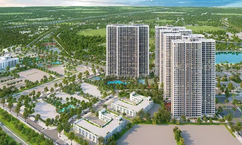 Giải tỏa nỗi lo tìm trường học cho con của gia đình trẻ
