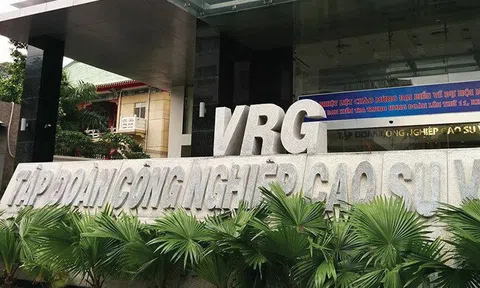 Thanh tra Chính phủ chuyển cơ quan điều tra 12 vụ về nhà đất