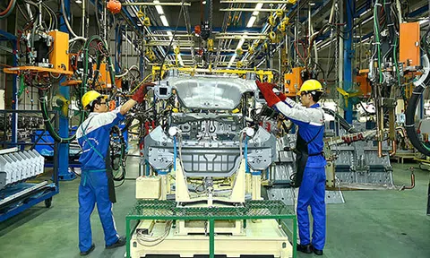 Tổ công tác thúc đẩy hợp tác đầu tư nước ngoài có quyền yêu cầu bộ, ngành, địa phương cung cấp các thông tin