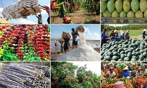 Trên 150 nhà nhập khẩu nước ngoài giao thương trực tuyến với doanh nghiệp nông sản, thực phẩm Việt Nam