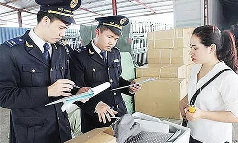 Tổng cục Hải quan dẫn đầu chỉ số cải cách hành chính năm 2019 khối Tổng cục