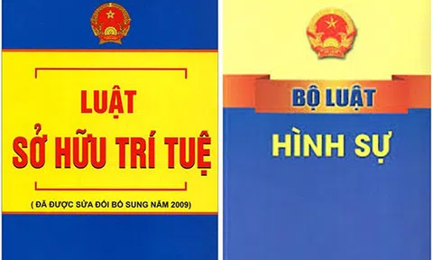 Xử lý nghiêm pháp nhân vi phạm sở hữu trí tuệ: Chuyên gia kiến nghị  sửa 3 điểm yếu "cốt tử" của luật
