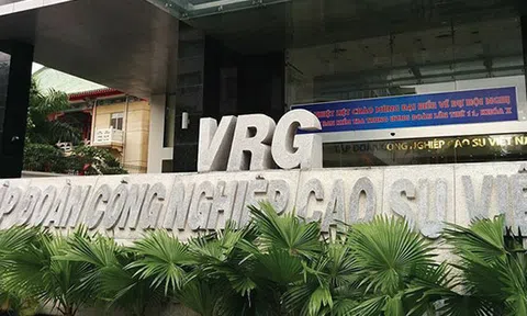 Thanh tra Chính phủ tiếp tục phát hiện nhiều lô “đất vàng” lọt tay tư nhân