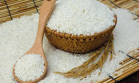 9 loại gạo thơm xuất sang EU được miễn thuế nhập khẩu