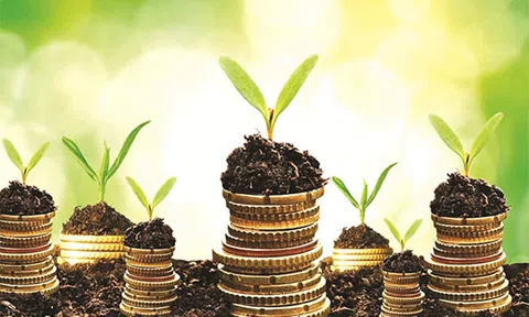 Để tài chính vi mô là đòn bẩy cho tài chính toàn diện