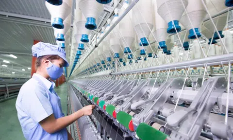 EVFTA mang lại môi trường cạnh tranh lành mạnh cho doanh nghiệp Việt Nam và EU