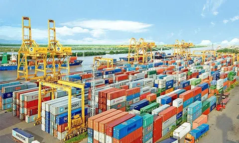 Một số điểm lưu ý khi thực hiện cơ chế tạm quản theo Công ước Istanbul