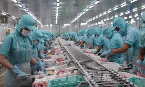 Có gì đáng chú ý trong kiến nghị của Ban Nghiên cứu phát triển kinh tế tư nhân và Báo cáo của Viện Nghiên cứu & Đào tạo BIDV