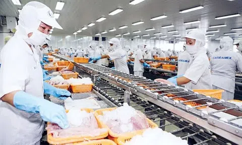 Phòng vệ thương mại còn lộ nhiều điểm yếu trong thực thi các FTA