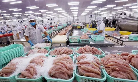 Tháo gỡ vướng mắc phát sinh từ hiệp định EVFTA