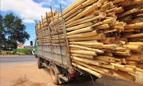 Cảnh báo doanh nghiệp bị lừa đảo khi giao dịch trực tuyến với nước ngoài