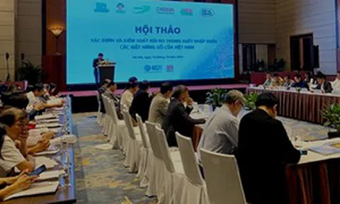 Nhận diện gian lận thương mại trong ngành gỗ