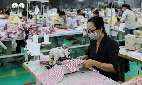 TS Nguyễn Trí Hiếu: 'Cần lập tổ hợp tín dụng hỗ trợ doanh nghiệp'
