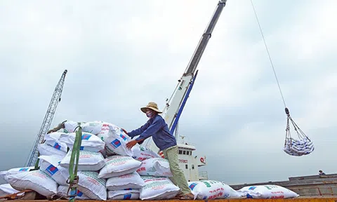RCEP sẽ không làm trầm trọng hoá nhập siêu của Việt Nam