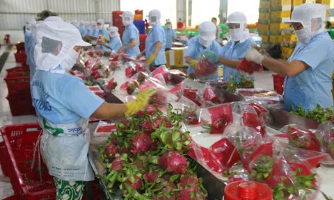 Trung Quốc ra chính sách mới, mặt hàng thủy sản, trái cây xuất khẩu của Việt Nam gặp khó