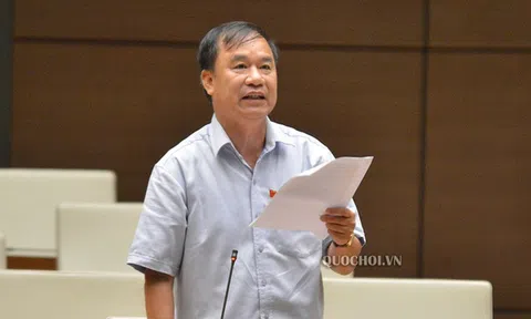 ĐBQH truy trách nhiệm cam kết lọc dầu Nghi Sơn gây thiệt hại hàng chục nghìn tỉ