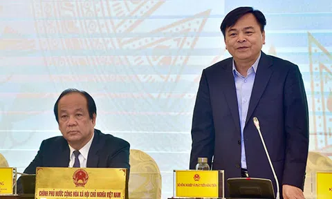 Thứ trưởng bộ NN&PTNT: "Con người có tác động đến thiên tai"