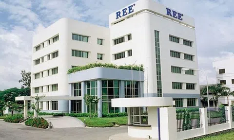 Doanh nghiệp liên quan đến bà Nguyễn Thị Mai Thanh trở thành cổ đông lớn tại Thủy điện Miền Nam