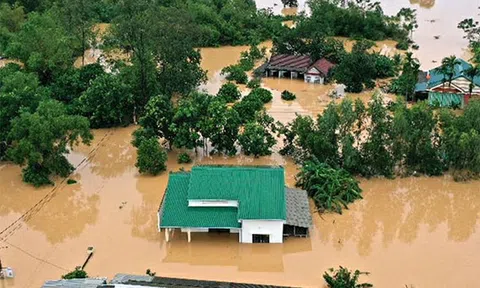 Quốc hội tăng cường giám sát tối cao để loại bỏ các dự án ảnh hưởng đến rừng, đặc biệt là rừng đầu nguồn, rừng tự nhiên