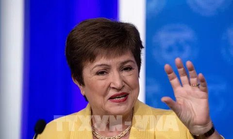 IMF kêu gọi áp dụng chính sách tài chính hiệu quả để phục hồi kinh tế