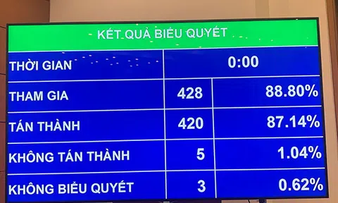Quốc hội thông qua Nghị quyết về tổ chức chính quyền đô thị tại TPHCM