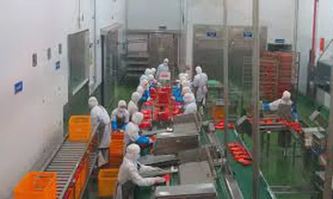 Hiện thực hóa cơ hội của các doanh nghiệp vừa và nhỏ Việt Nam sau khi Hiệp định EVFTA có hiệu lực