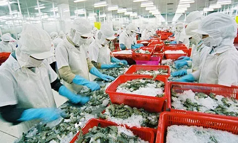 Hiệp định Đối tác Kinh tế toàn diện khu vực (RCEP) mang lại lợi ích gì?