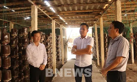 Đến 2025, thành lập mới 10.000 tổ chức kinh tế tập thể
