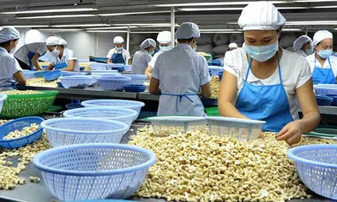 Tăng tính cạnh tranh của hàng hóa Việt Nam trong Hiệp định Đối tác Kinh tế toàn diện khu vực (RCEP)