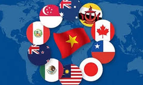 Những đối xử đặc biệt và khác biệt của tổ chức thương mại thế giới (WTO) dành cho những nước đang phát triển