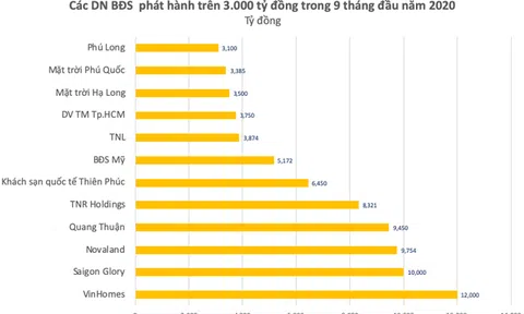 HoREA: Một số trái phiếu doanh nghiệp bất động sản có nguy cơ chuyển thành nợ xấu