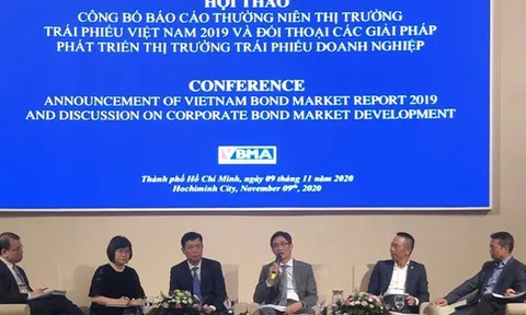 Khung khổ pháp lý đối với thị trường trái phiếu doanh nghiệp và trái phiếu xanh còn nhiều khoảng trống…