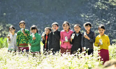 Không chỉ mang sữa đến cho trẻ em, quỹ sữa vươn cao Việt Nam khuyến khích học sinh vùng cao chăm chỉ đến trường hơn