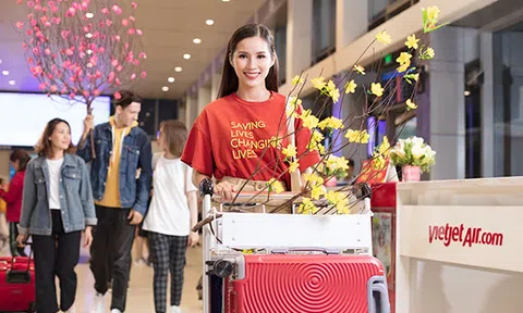 Đón Tết Tân Sửu ngập tràn mai, đào cùng Vietjet