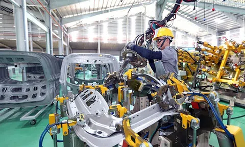 Kinh tế tư nhân: Động lực quan trọng của nền kinh tế