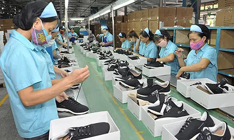 Lợi ích khác nhau của các nhóm nước trong RCEP