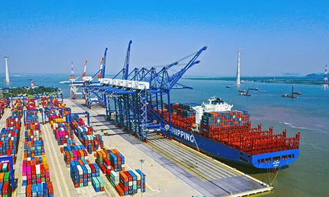Việt Nam lọt top 5 quốc gia đứng đầu về dòng chảy thương mại quốc tế