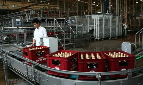 Giải pháp nào gỡ vướng mắc trong cổ phần hóa, thoái vốn doanh nghiệp?