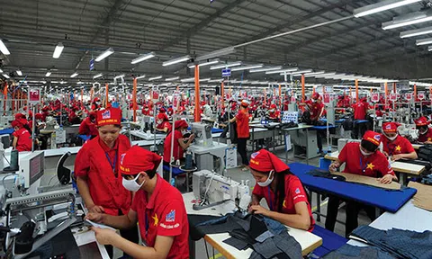 Gần 50.000 bộ C/O được cấp sau 4 tháng EVFTA có hiệu lực