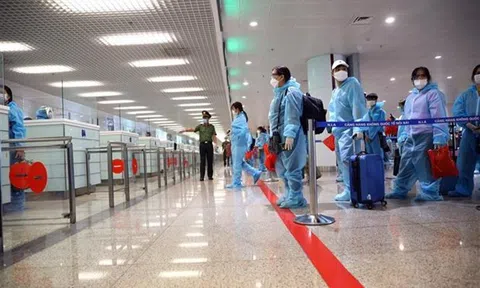 Vụ nam tiếp viên hàng không Vietnam Airlines làm lây lan COVID-19: cần xem xét cả trách nhiệm pháp lý của tổ chức, cá nhân trong việc quản lý cách ly y tế.